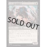 (FOIL)キチン質の墓地歩き/Chitin Gravestalker《日本語》【DFT】