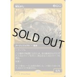 [EX+](ファーストプレイスFOIL)屑転がし/Debris Beetle《日本語》【DFT】