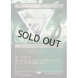 画像1: [EX+](FOIL)(フルアート)ウェイストウッドの境界/Wastewood Verge《日本語》【DFT】