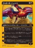 (ファーストプレイスFOIL)灯を追う者、チャンドラ/Chandra, Spark Hunter《日本語》【DFT】