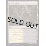 磨かれたやせ地/Scoured Barrens《日本語》【DFT】