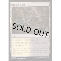 [EX+]磨かれたやせ地/Scoured Barrens《日本語》【DFT】