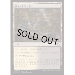 画像1: [EX+](FOIL)磨かれたやせ地/Scoured Barrens《日本語》【DFT】