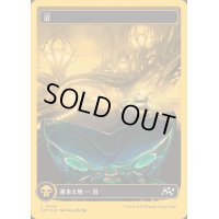 [EX+](ファーストプレイスFOIL)(フルアート)(0509)沼/Swamp《日本語》【DFT】