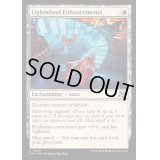[EX+]光輪の強化術/Lightwheel Enhancements《英語》【DFT】