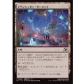 (FOIL)アヴィシュカー・サーキット/Avishkar Raceway《日本語》【DFT】