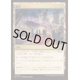 [EX+]夜市/Night Market《日本語》【DFT】