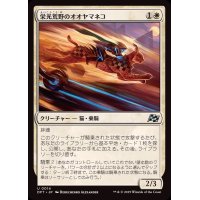 (FOIL)栄光荒野のオオヤマネコ/Gloryheath Lynx《日本語》【DFT】