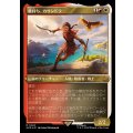 [EX+](エッチングFOIL)鷹持ち、カサンドラ/Kassandra, Eagle Bearer《日本語》【ACR】