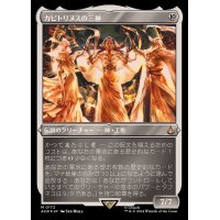 [EX+](エッチングFOIL)カピトリヌスの三神/The Capitoline Triad《日本語》【ACR】