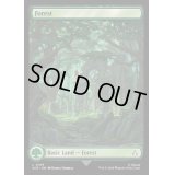 (FOIL)(フルアート)(0109)森/Forest《英語》【ACR】