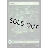 [EX+](フルアート)(0109)森/Forest《英語》【ACR】