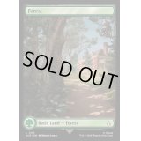 (FOIL)(フルアート)(0110)森/Forest《英語》【ACR】