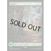 [EX+](フルアート)(0110)森/Forest《英語》【ACR】