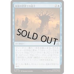 画像1: [EX+]精霊の世界での迷子/Lost in the Spirit World《日本語》【TLE】