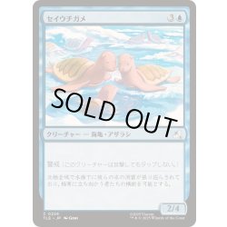 画像1: [EX+]セイウチガメ/Turtle-Seals《日本語》【TLE】