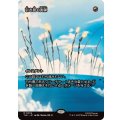 (フルアート)引き裂く流弾/Rending Volley《日本語》【TLE】