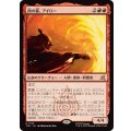 (FOIL)西の龍、アイロー/Iroh, Dragon of the West《日本語》【TLE】