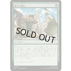 画像1: [EX+]数々の別れ/Many Partings《日本語》【TLE】