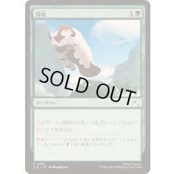 画像1: [EX+]探検/Explore《日本語》【TLE】