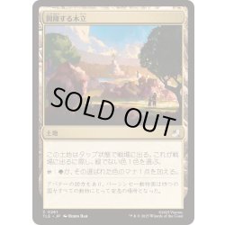 画像1: [EX+]興隆する木立/Thriving Grove《日本語》【TLE】