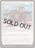 [EX+]サカの剣の修行/Sokka's Sword Training《英語》【TLE】