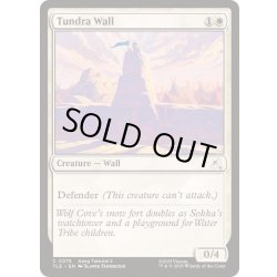 画像1: [EX+](0275)ツンドラの壁/Tundra Wall《英語》【TLE】