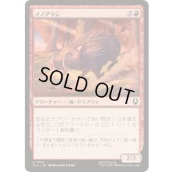 画像1: イノアラシ/Boar-q-pine《日本語》【TLA】