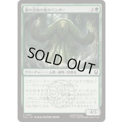 画像1: 霧の沼地の蔦のベンダー/Foggy Swamp Vinebender《日本語》【TLA】