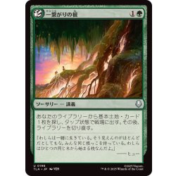 画像1: (FOIL)一繋がりの根/Shared Roots《日本語》【TLA】