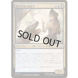 画像1: [EX+](FOIL)霧の沼地の精霊守/Foggy Swamp Spirit Keeper《日本語》【TLA】