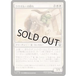 画像1: (FOIL)ウサギルーの群れ/Rabaroo Troop《日本語》【TLA】