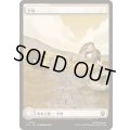 [EX+](FOIL)(フルアート)(0292)平地/Plains《日本語》【TLA】