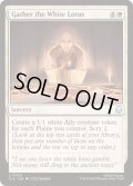 [EX+](FOIL)白蓮を集めよ/Gather the White Lotus《英語》【TLA】