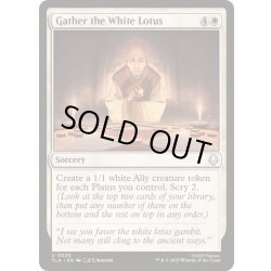 画像1: [EX+](FOIL)白蓮を集めよ/Gather the White Lotus《英語》【TLA】