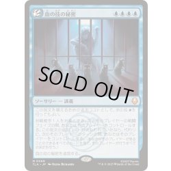画像1: [EX+](FOIL)血の技の秘密/Secret of Bloodbending《日本語》【TLA】