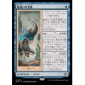 (FOIL)嵐追いの才能/Stormchaser's Talent《日本語》【BLB】