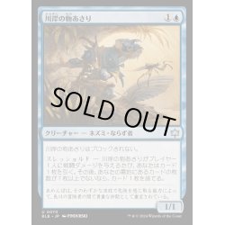 画像1: (FOIL)川岸の物あさり/Shoreline Looter《日本語》【BLB】