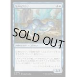 [EX+](FOIL)泥棒カワウソ/Thieving Otter《日本語》【BLB】