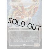 [EX+](フルアート)光明の繁殖蛾/Luminous Broodmoth《日本語》【BLC】