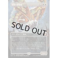 (FOIL)(フルアート)光明の繁殖蛾/Luminous Broodmoth《日本語》【BLC】