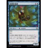 (FOIL)羽信隊の随員/Plumecreed Escort《日本語》【BLB】
