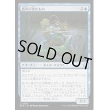 [EX+](FOIL)長川に潜むもの/Long River Lurker《日本語》【BLB】