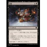 (FOIL)初冬/Early Winter《日本語》【BLB】
