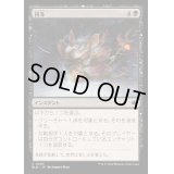 [EX+]初冬/Early Winter《日本語》【BLB】