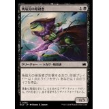 (FOIL)瑪瑙刃の暗殺者/Agate-Blade Assassin《日本語》【BLB】