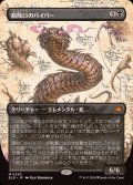 (フルアート)腐敗口のバイパー/Rottenmouth Viper《日本語》【BLB】
