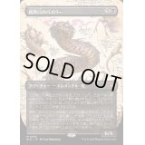 [EX](FOIL)(フルアート)腐敗口のバイパー/Rottenmouth Viper《日本語》【BLB】