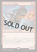 [EX+](FOIL)かまど生まれの戦闘家/Hearthborn Battler《日本語》【BLB】