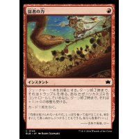 [EX+]弱者の力/Might of the Meek《日本語》【BLB】